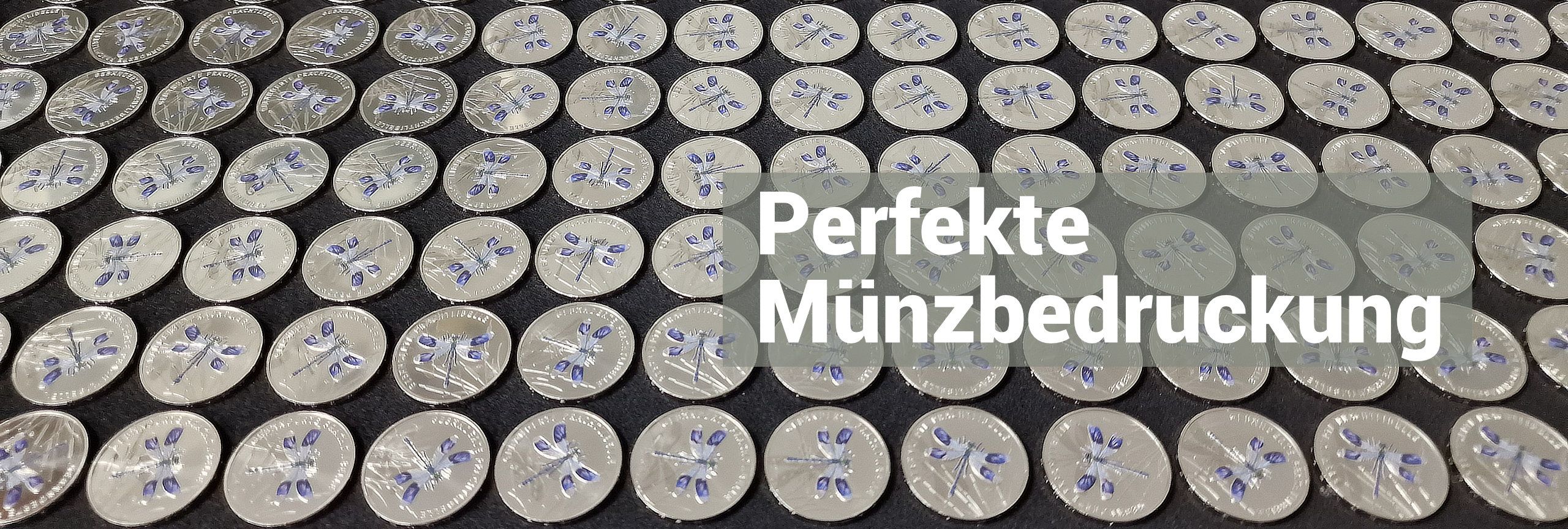 Tablett mit bedruckten Euromünzen Prachtlibelle